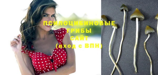 ПСИЛОЦИБИНОВЫЕ ГРИБЫ Алзамай