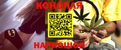 МДПВ Славгород