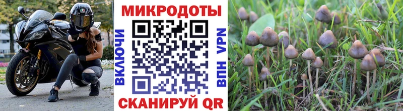 Псилоцибиновые грибы Magic Shrooms Советская Гавань