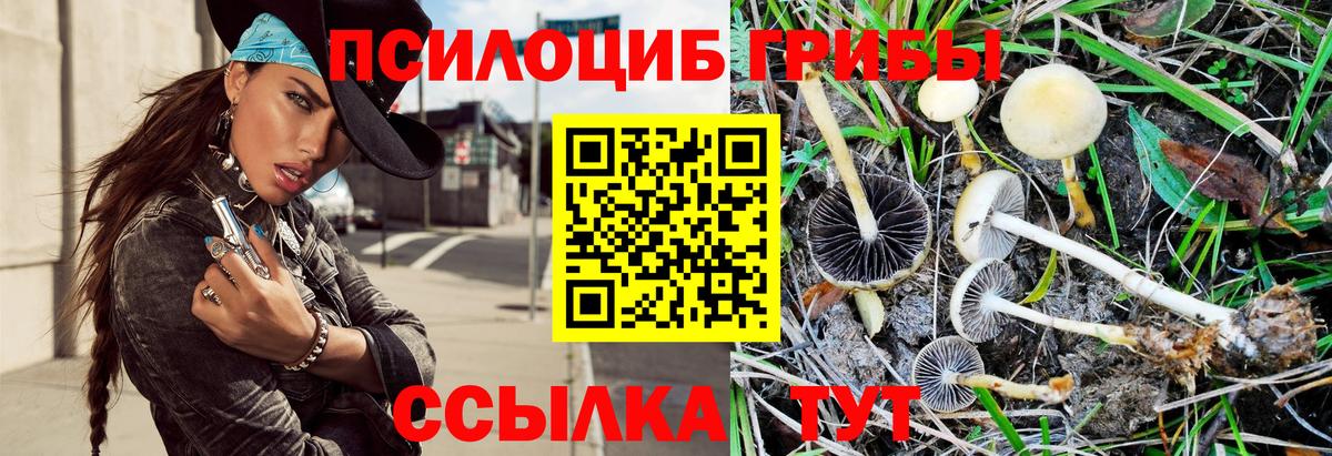 Галлюциногенные грибы MAGIC MUSHROOMS  Вход с VPN  Советская Гавань 