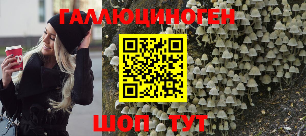 Галлюциногенные грибы прущие грибы Советская Гавань